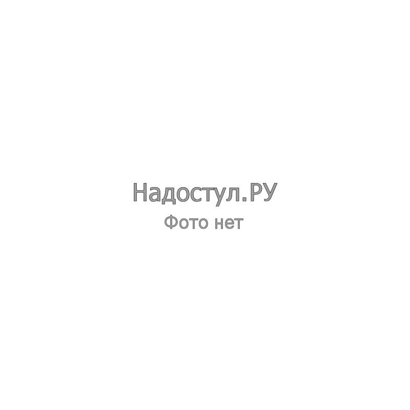 Двери стеклянные рамочные RGFD 42-2 Бук Тиара/Бронза главное фото